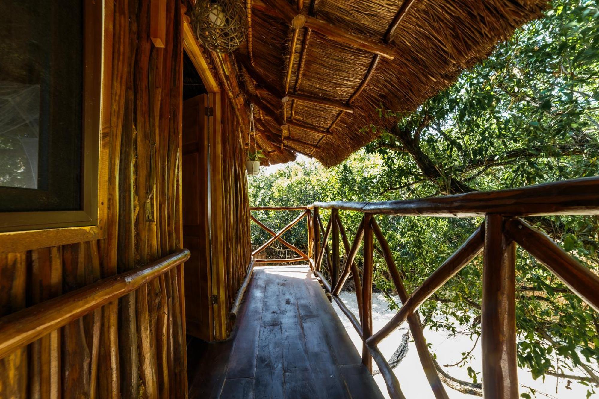 Eco Banitas